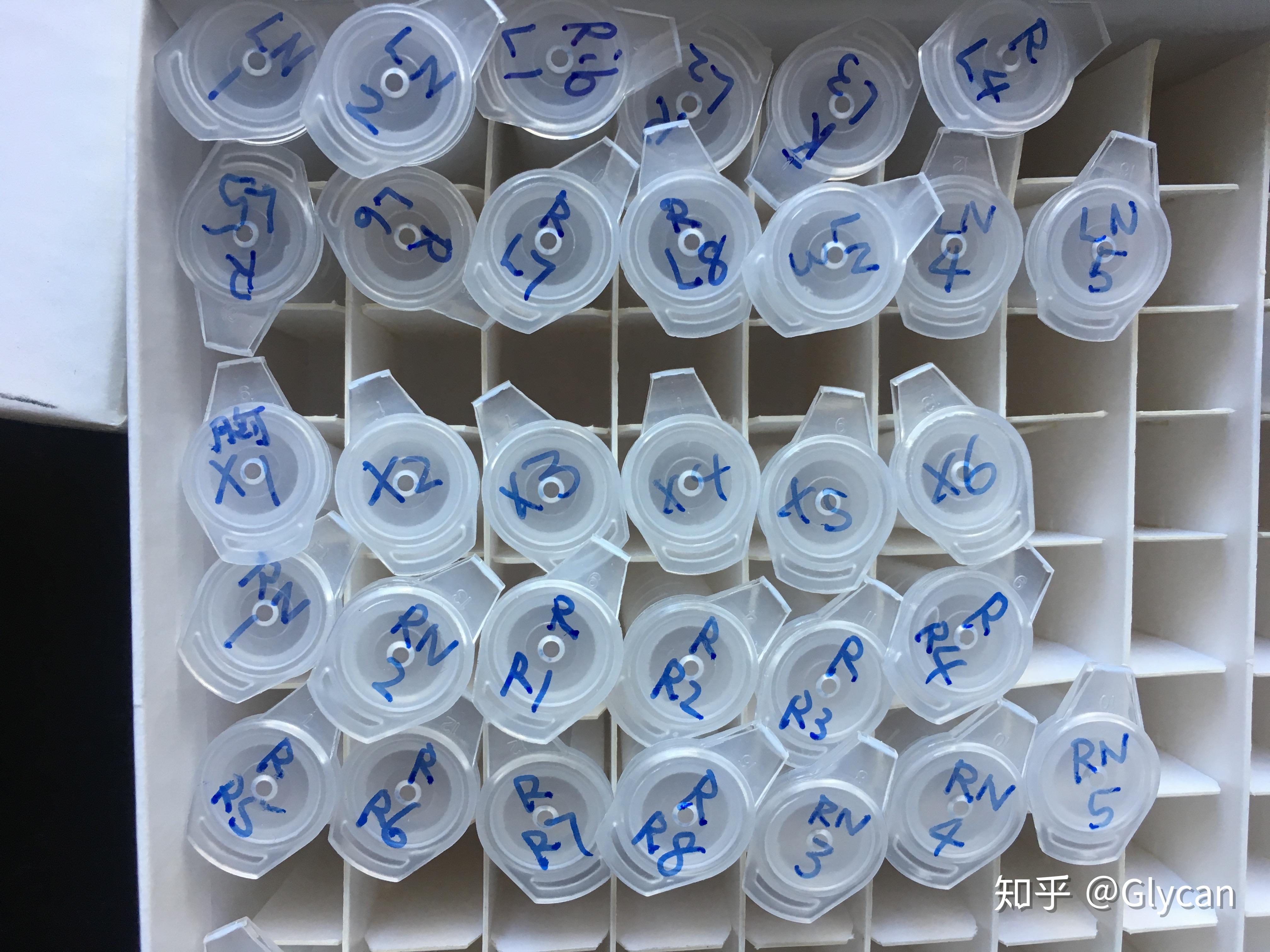 标本怎么制作 v2-76cc86c65657d0840db9f2f7649838f0_r.jpg