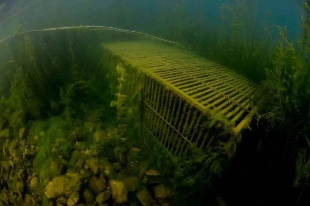 其中最離奇的便是水下古城遺址的傳說關於撫仙湖的傳說光怪陸離,氣象