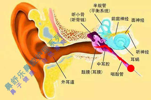 習慣性反覆做咽鼓管吹張捏鼻鼓氣法是否會有什麼影響