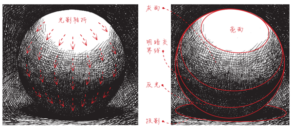 素描与光影基础知识大总结!提高基础必备! - 知乎