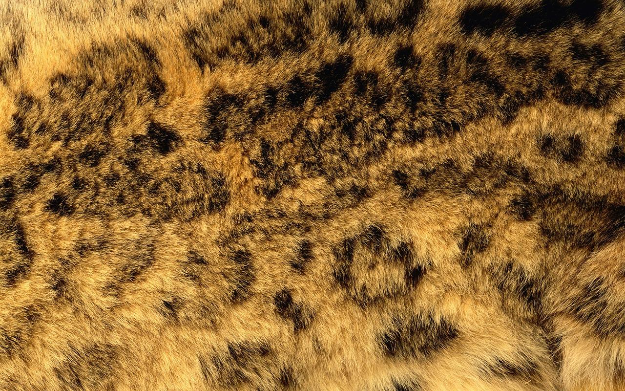 2. 粉色大衣时尚潮