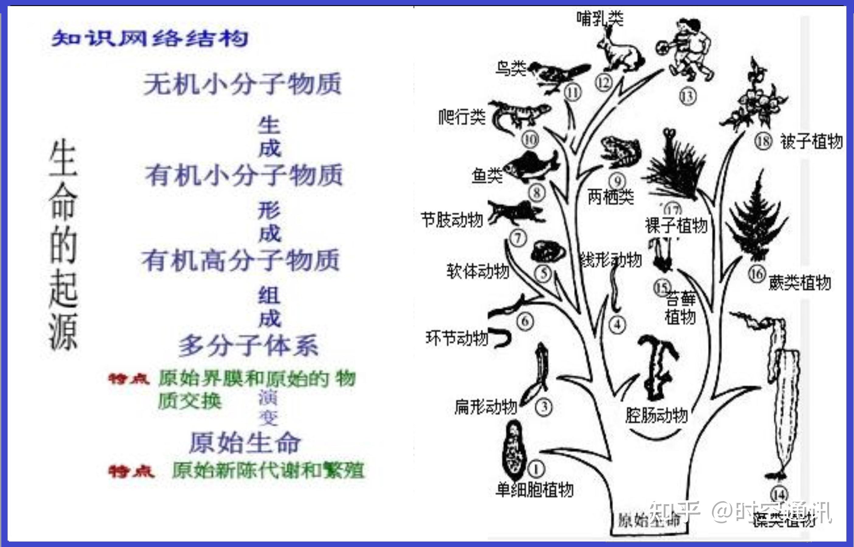 《物种起源》手抄报图片