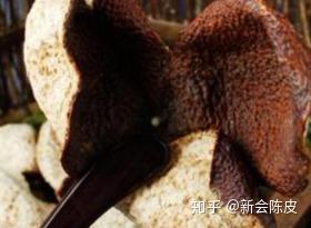 v2-76ed7604cc349e70350bcc7075e6b3e4_b.jpg