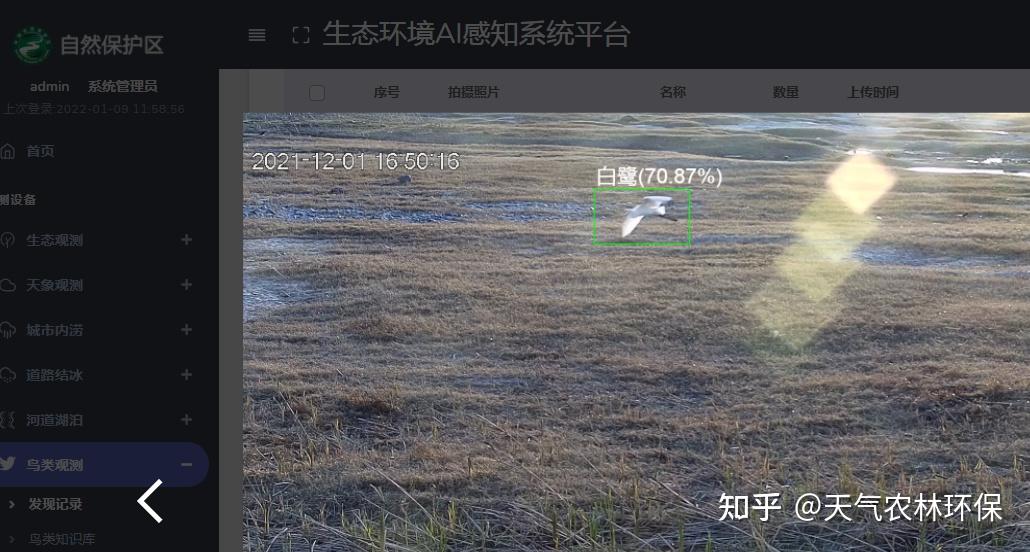 ai鸟类识别分析系统