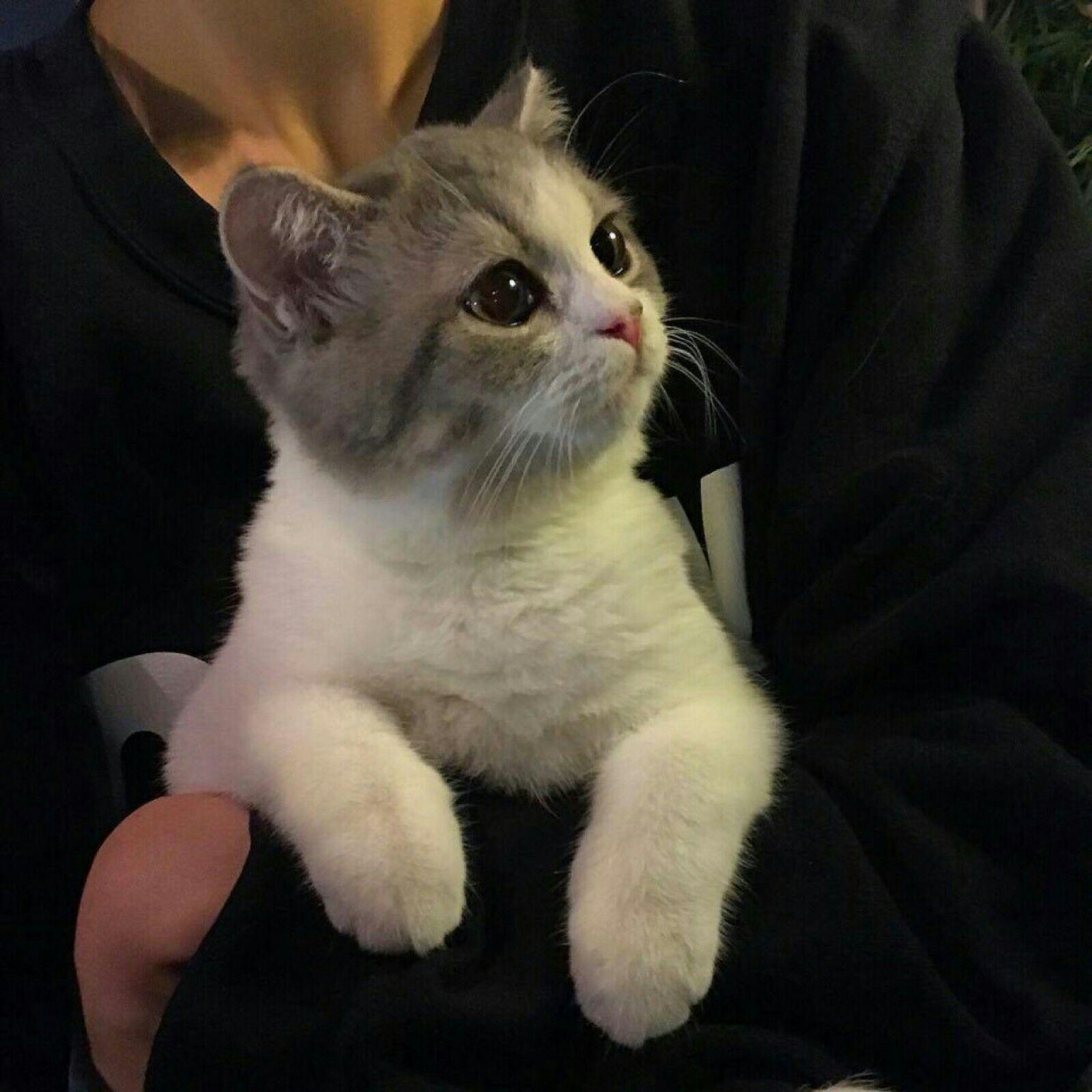 有哪些好看的适合男生的微信头像? - 知乎