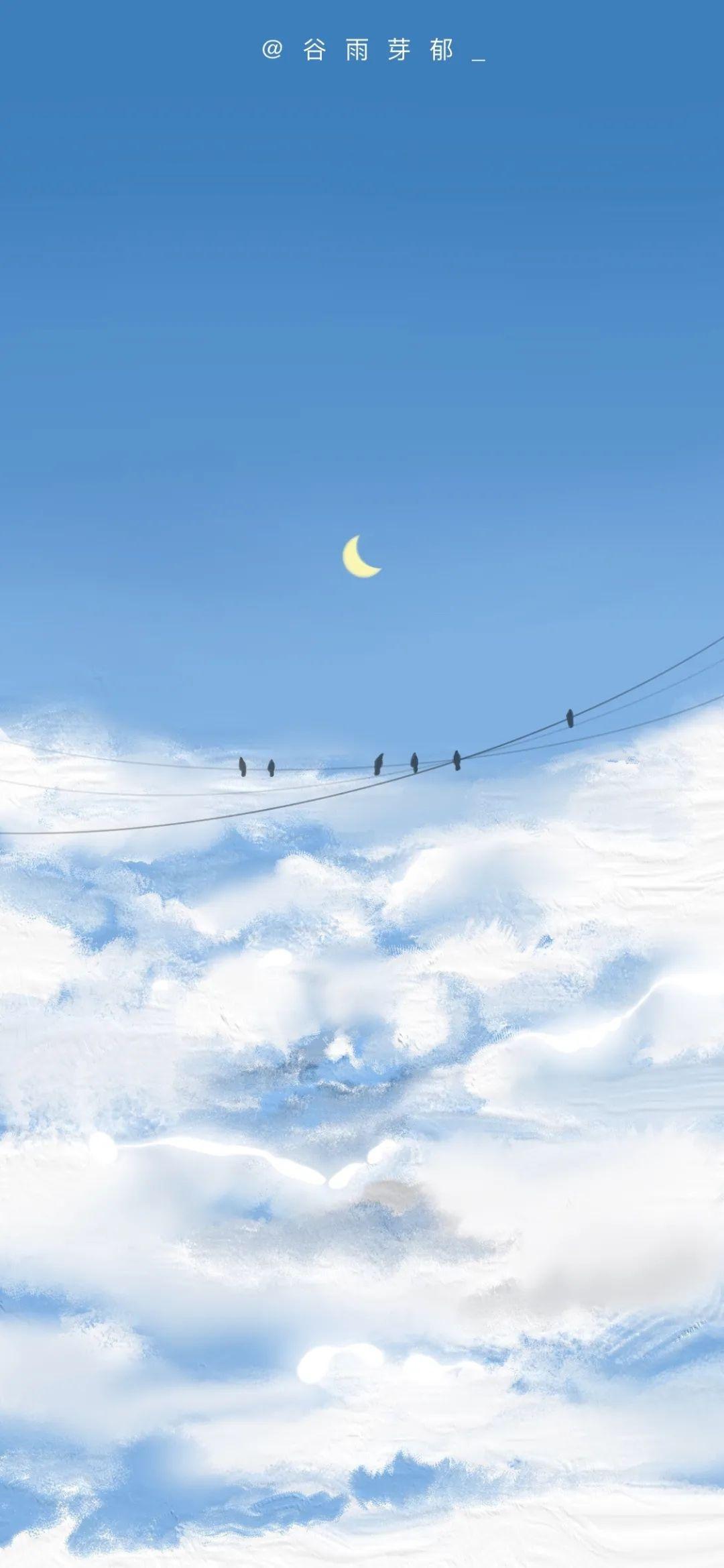 你用过最好看的头像或壁纸是什么样的? - 知乎