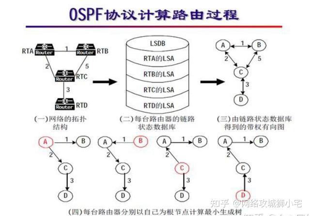ospf协议概述
