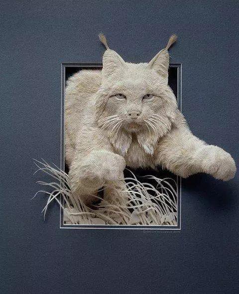 纸上动物园纸雕塑艺术家calvinnicholls作品赏析