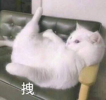 18岁高中生适合什么香水?