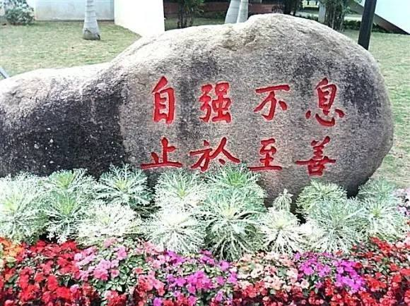 我想上大学学艺术课学编导但家里不让去我怎么