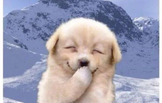 v2-77295bb0b15fce6626ebfac7d8150c68_b.jpg ChatGPT:情感救星?还是心理替代品?一文揭秘它的三大优点与三大不足