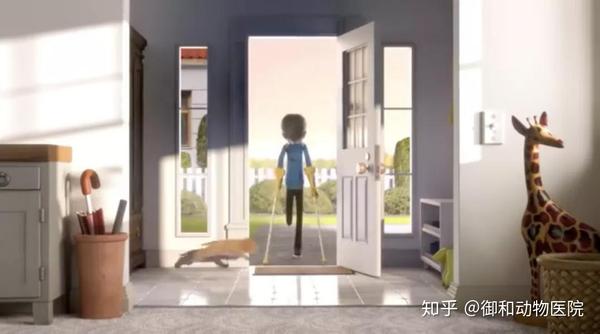 御和动物医院 能治愈心灵的是 它 知乎