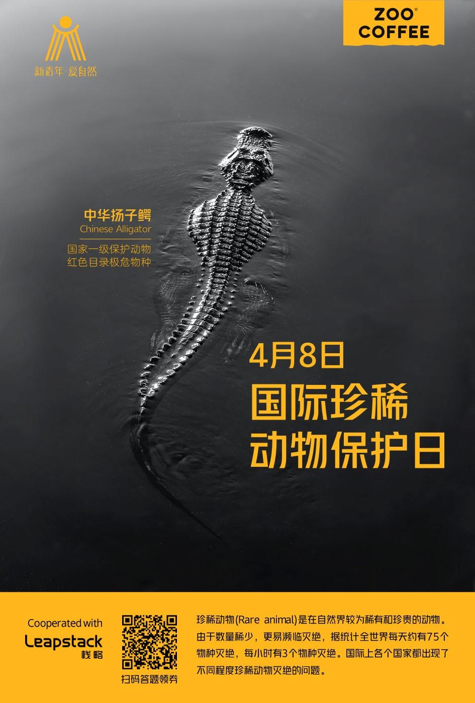 国际珍稀动物保护日拒绝杀戮与自然共生