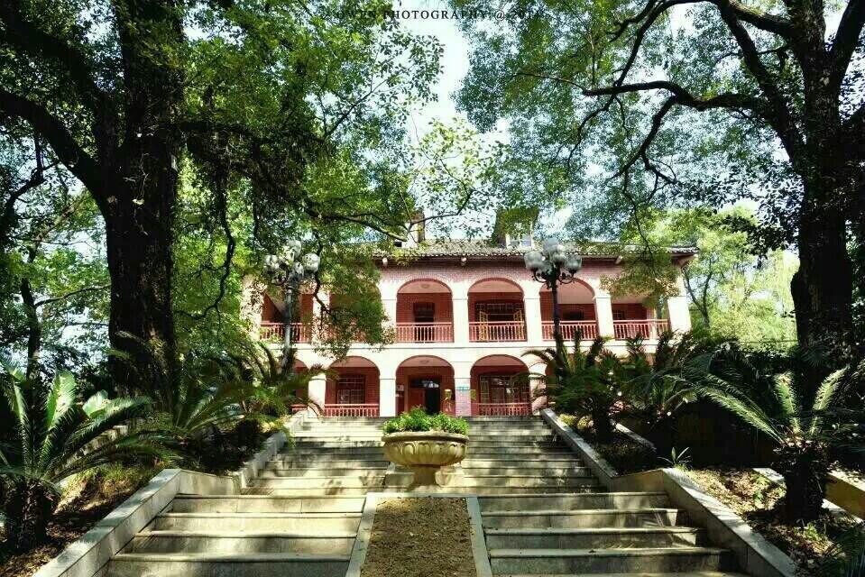 醴陵一中有多美?