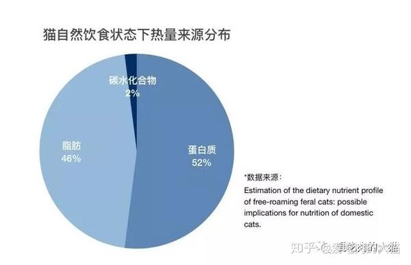 猫的营养需求 蛋白质和脂肪 知乎
