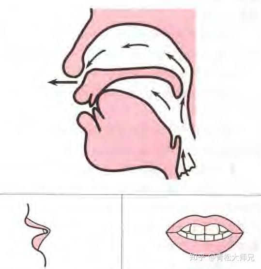 声母bpm发音要领及练习方法