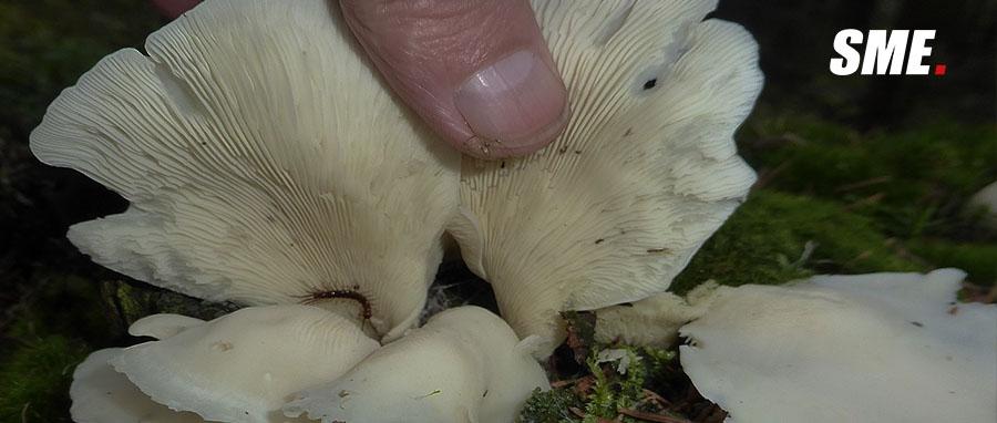 v2-773b25bf9b056178fc92c8c83602fc53_1440w.jpg?source=172ae18b