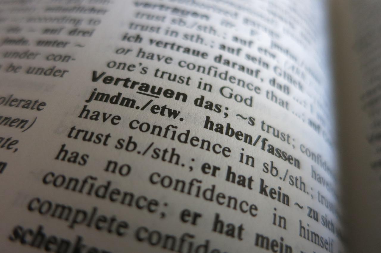 爱国情结与抗争精神的展现