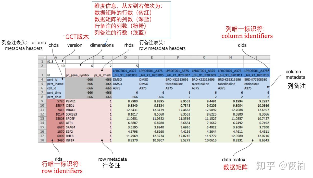 如何使用R生成GCT文件 知乎