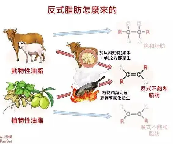 反式脂肪酸危害有多大 - 知乎