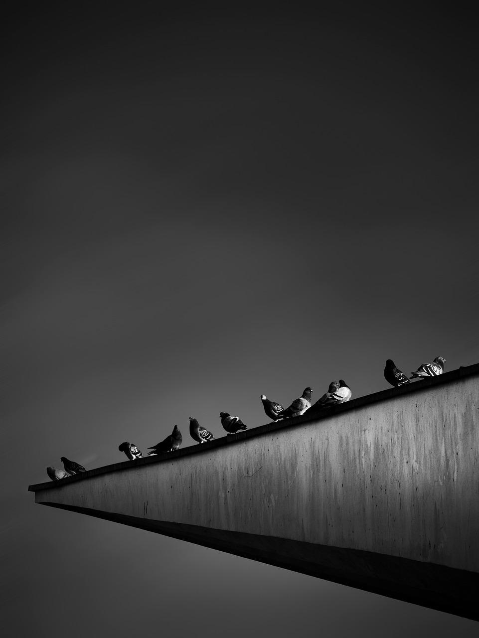 柏林南区房价多少钱