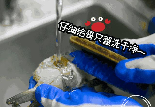 v2-7756660fe369aabf5fe1e27db39c3ad8_r.jpg
