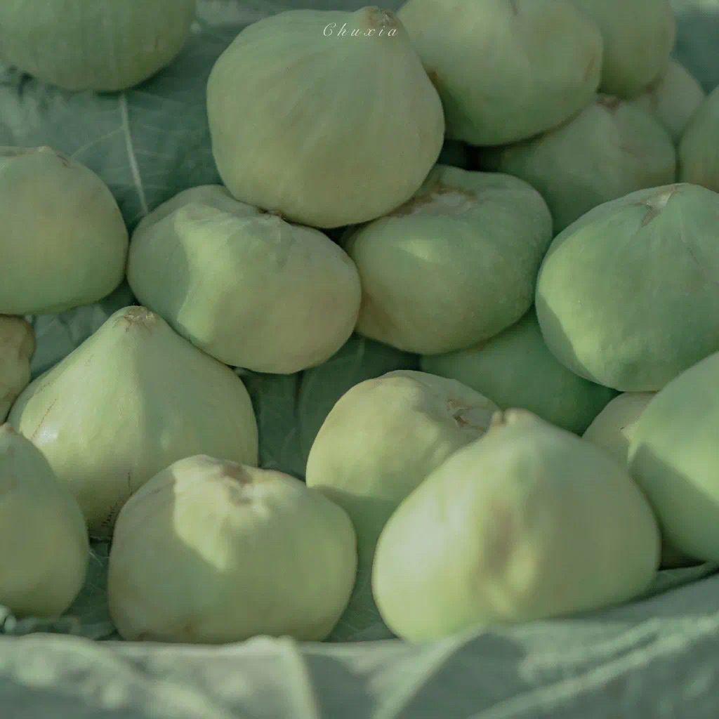 有什么美到极致的绿色壁纸?(绿色壁纸好看卡通动漫)