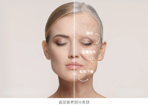 深层次“逆转”衰老过程!干细胞抗衰老详解 - 知乎