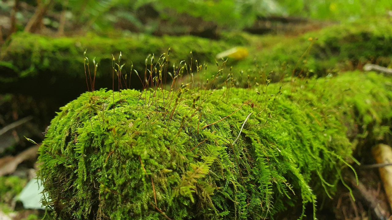 2. 通风光照要求