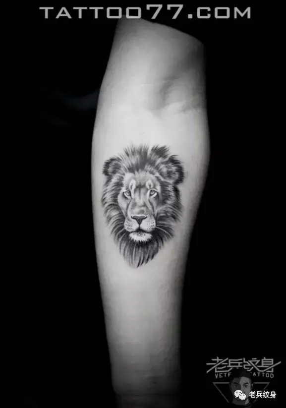 老兵店内作品欣赏狮子纹身二