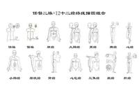 气功小周天运行路线图图片