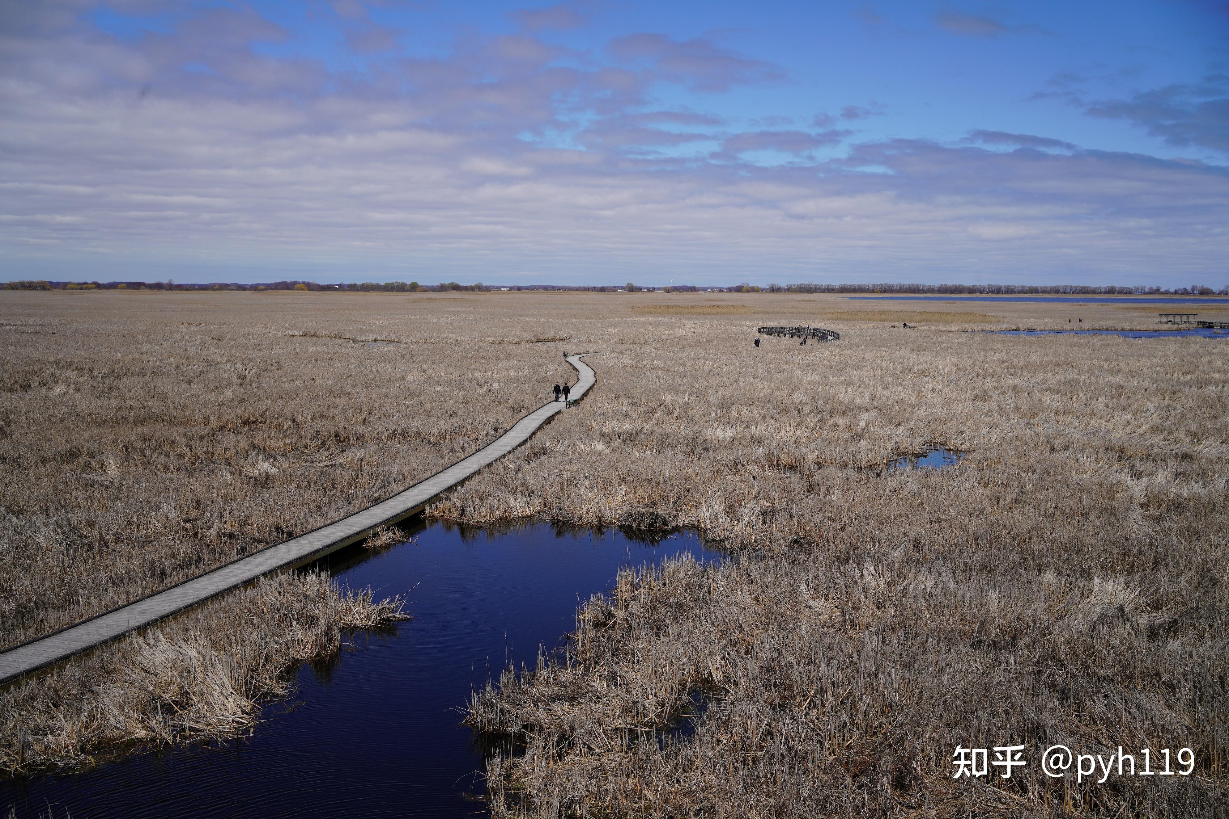 绿水湖畔的黑沼泽皮利角国家公园