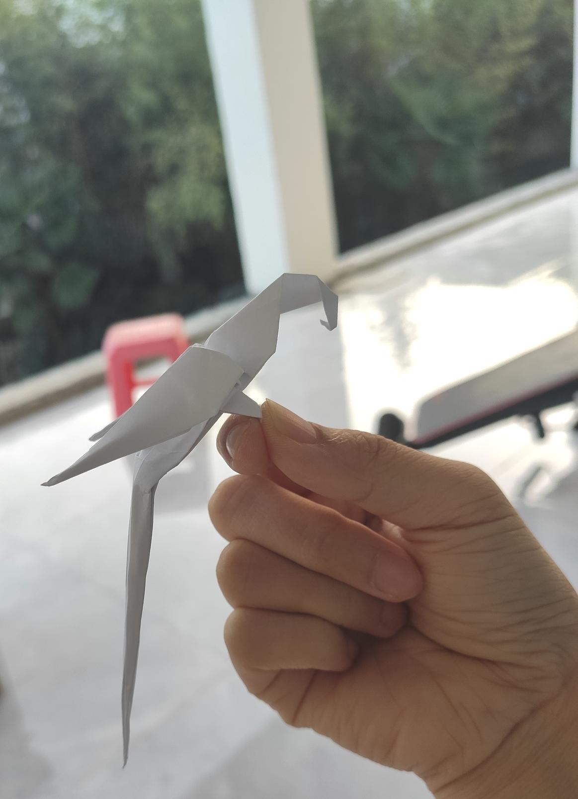 【折纸】金刚鹦鹉 origami macaw(manuel sirgo) - 知乎