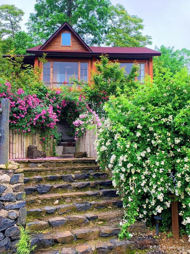 【民宿花园】花园仙境