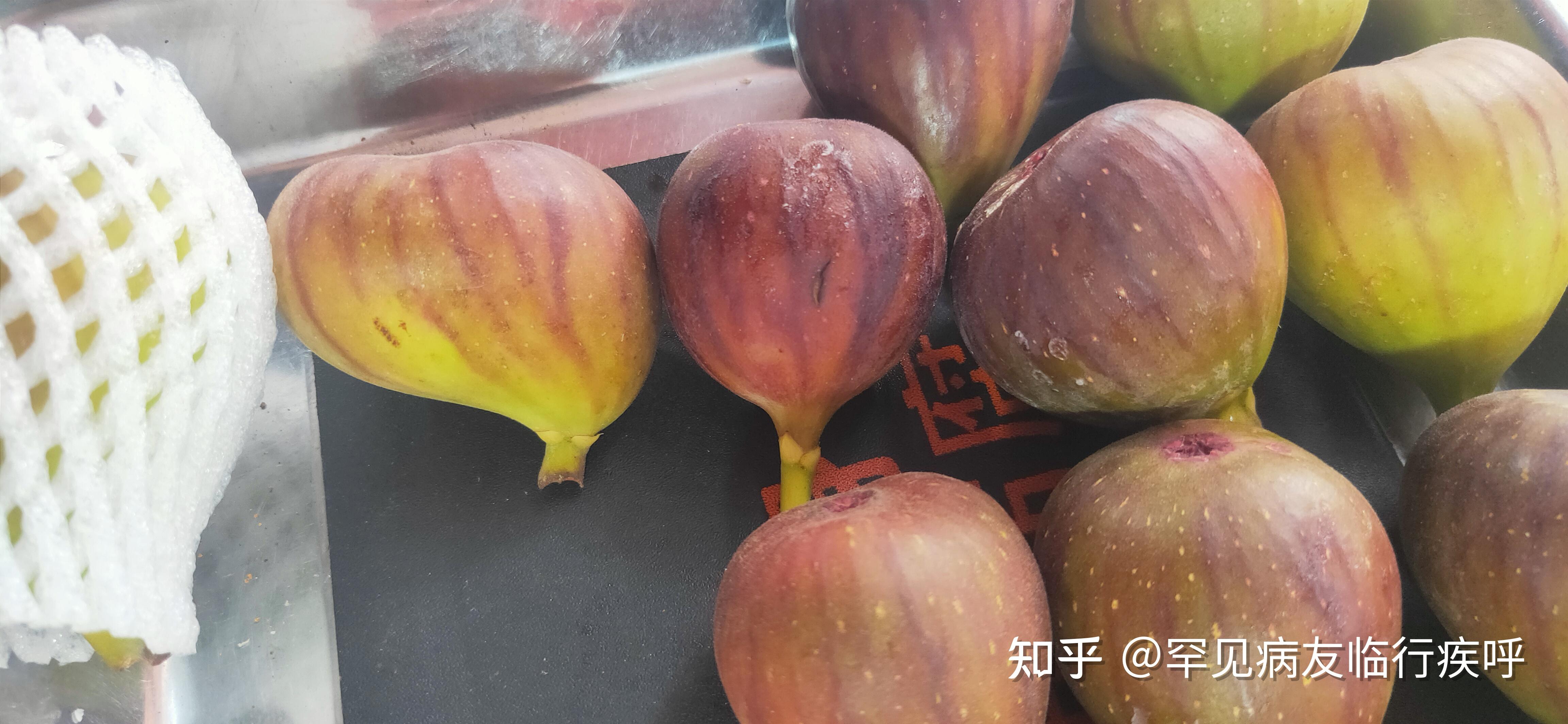 无花果苗什么品种好