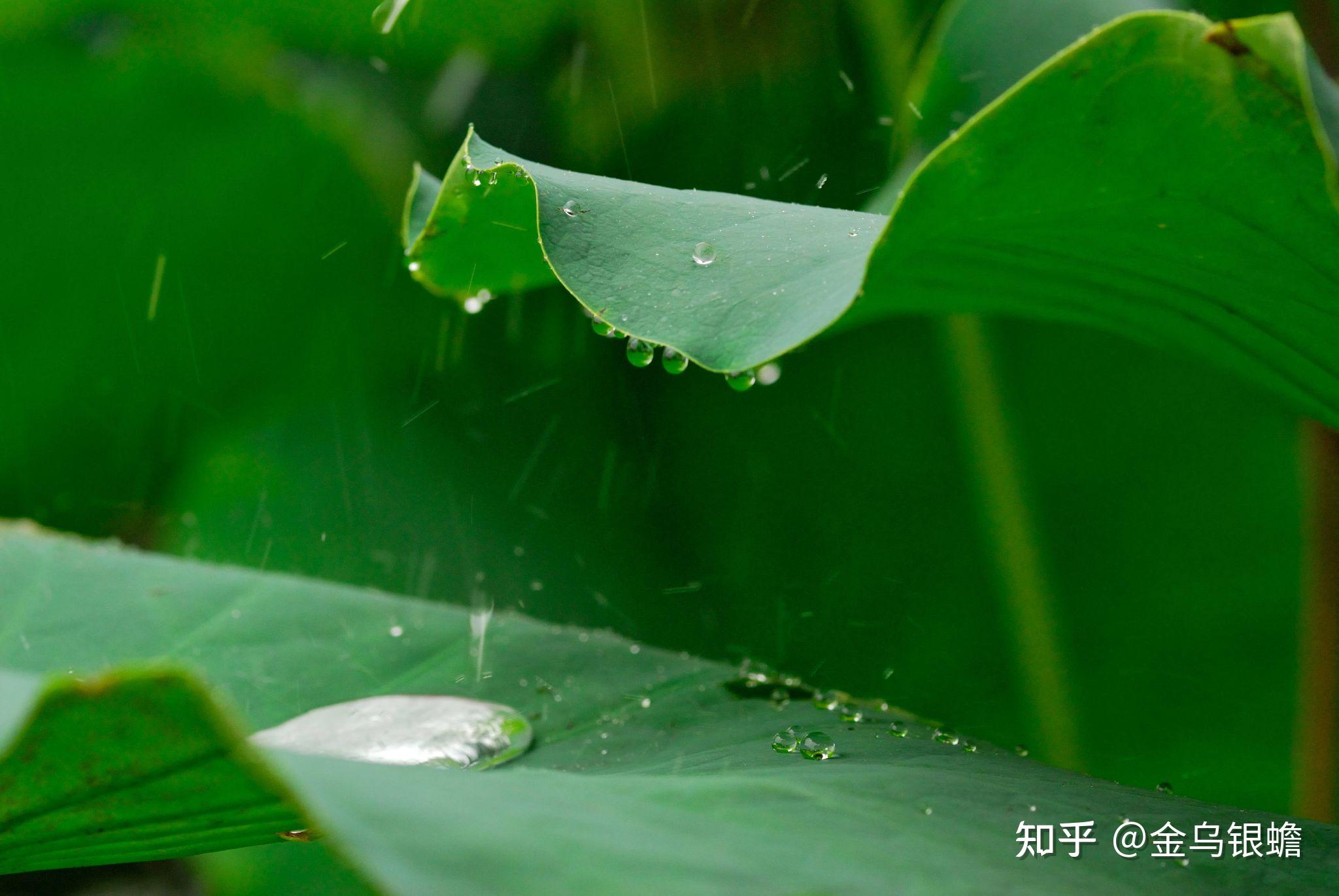 青春在雨中漫步 - 中国摄影出版传媒有限责任公司