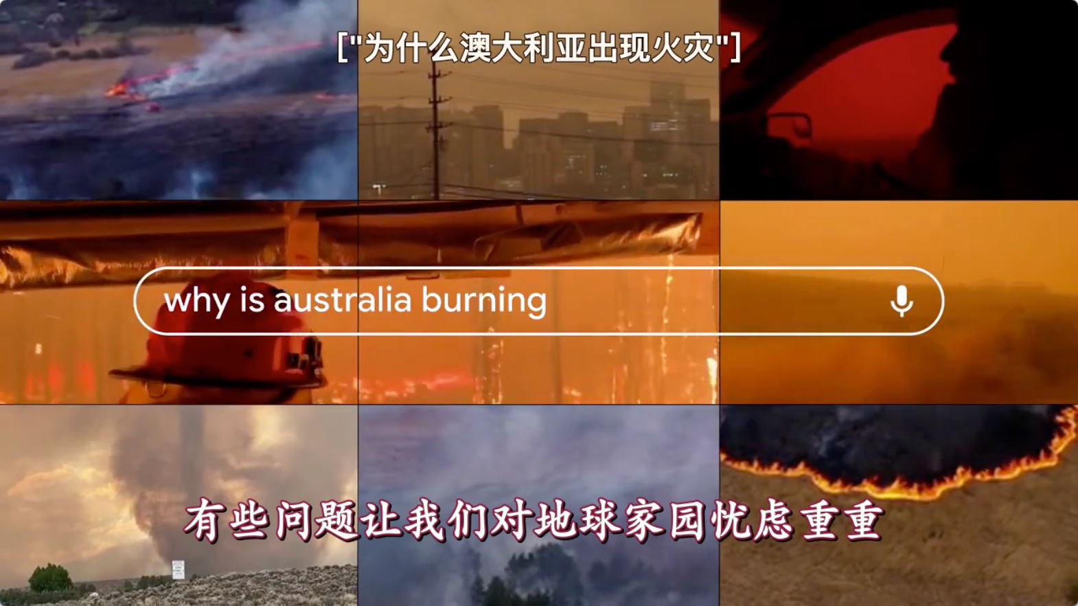 「为什么澳大利亚出现火灾」「为什么厕纸售罄了」这些问题直接