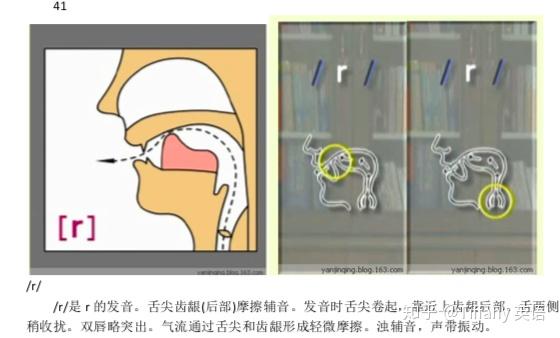 48个国际音标发音舌位图 - 知乎
