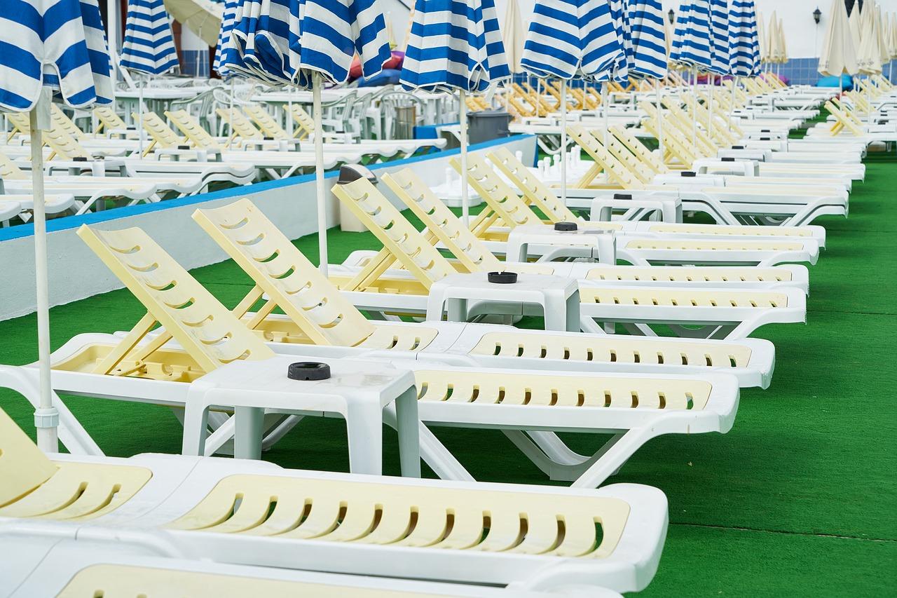 2. 耐晒绿植推荐