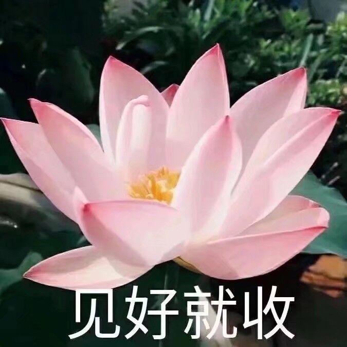 特别土的头像 微信图片