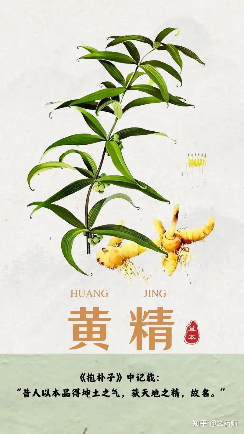 枸杞与黄精如何联合其他中药“组队”降血糖?——糖尿病治疗中的配伍智慧与科学依据 - 知乎