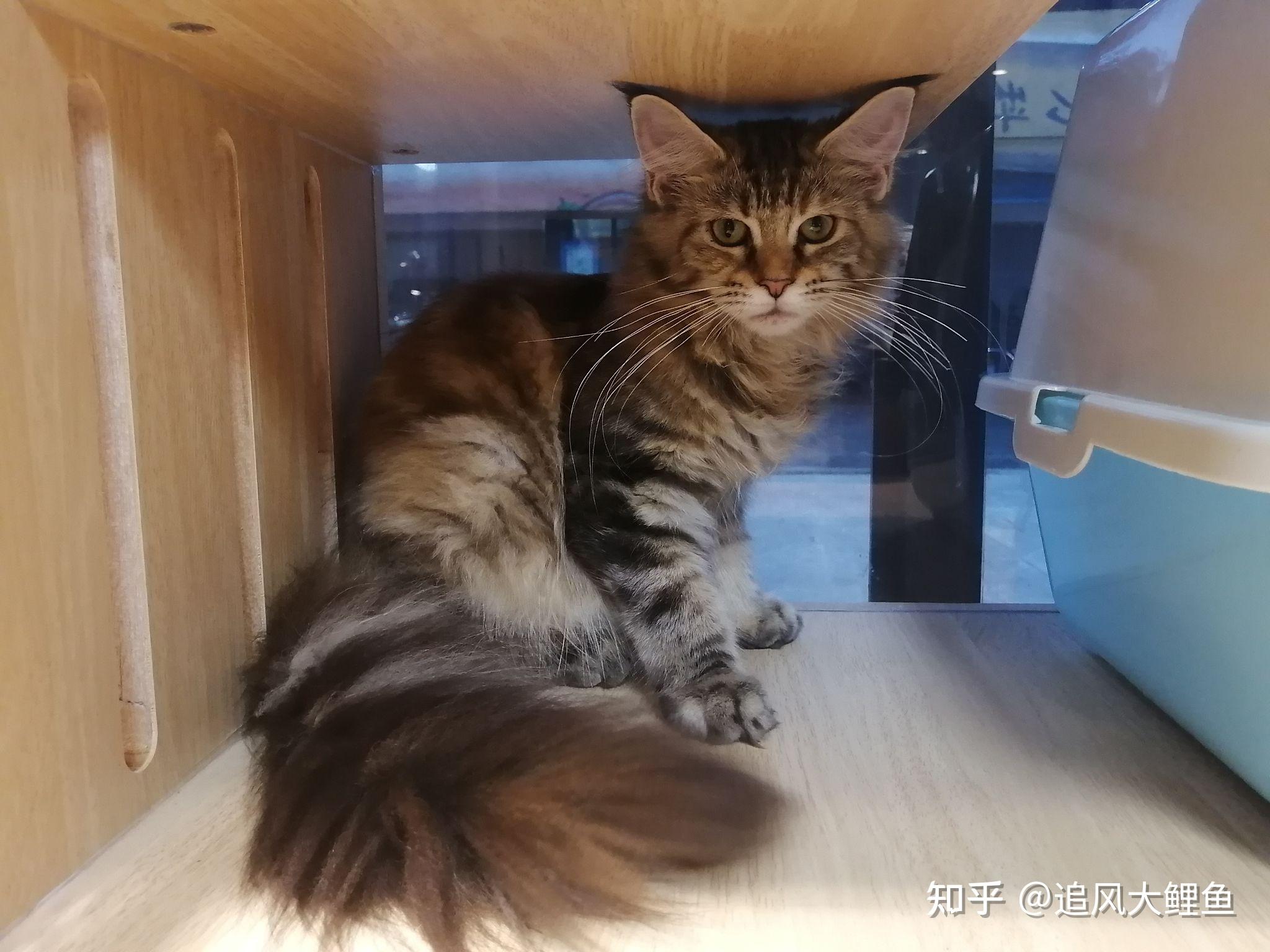 你会选择一份让你感觉轻松但收入不高的工作吗？ - 知乎