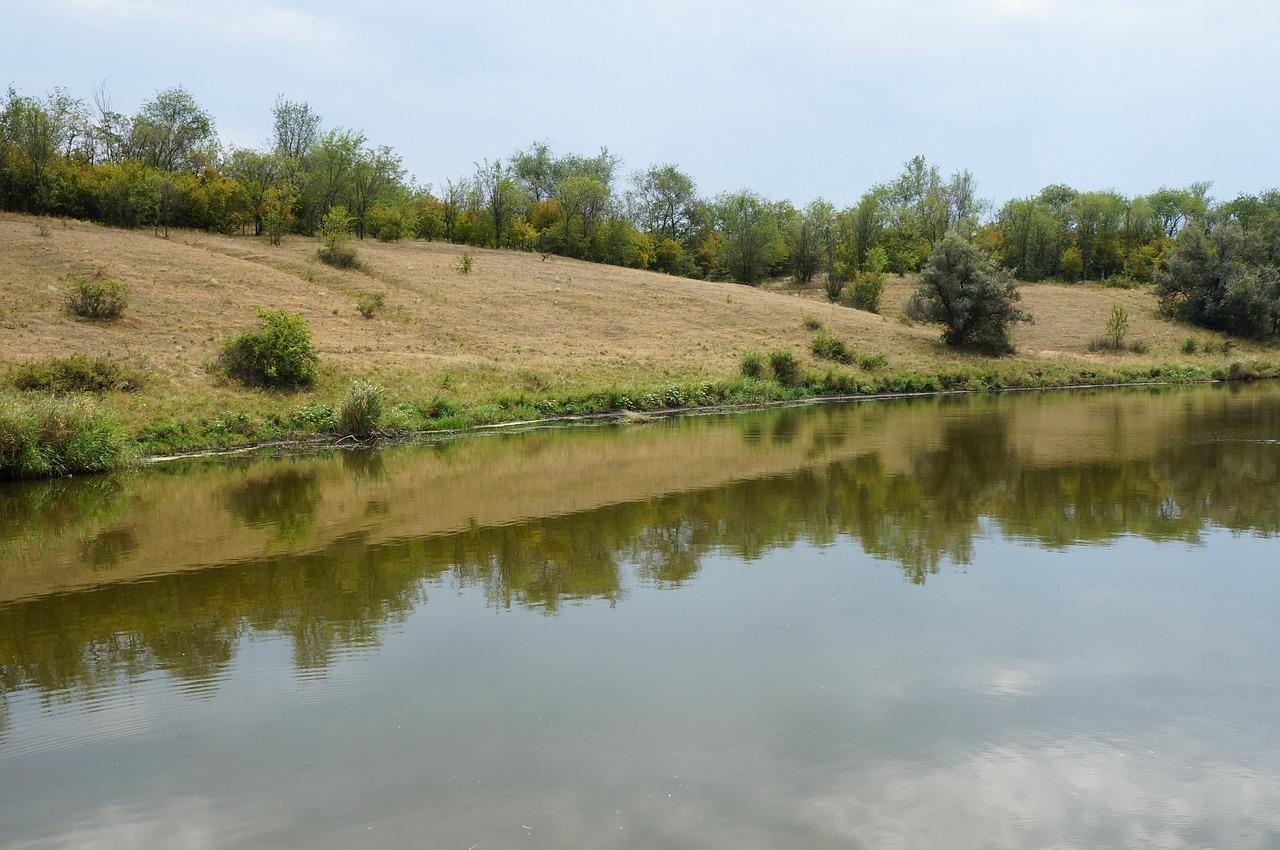 3. 定期换水策略