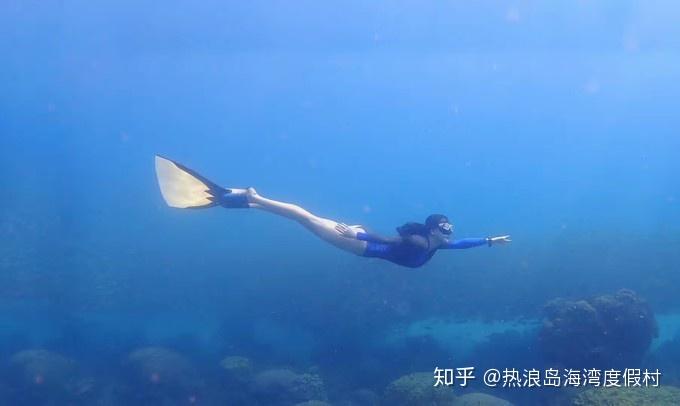 你该知道的潜水英语或者潜水术语 - 知乎
