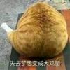 露娜