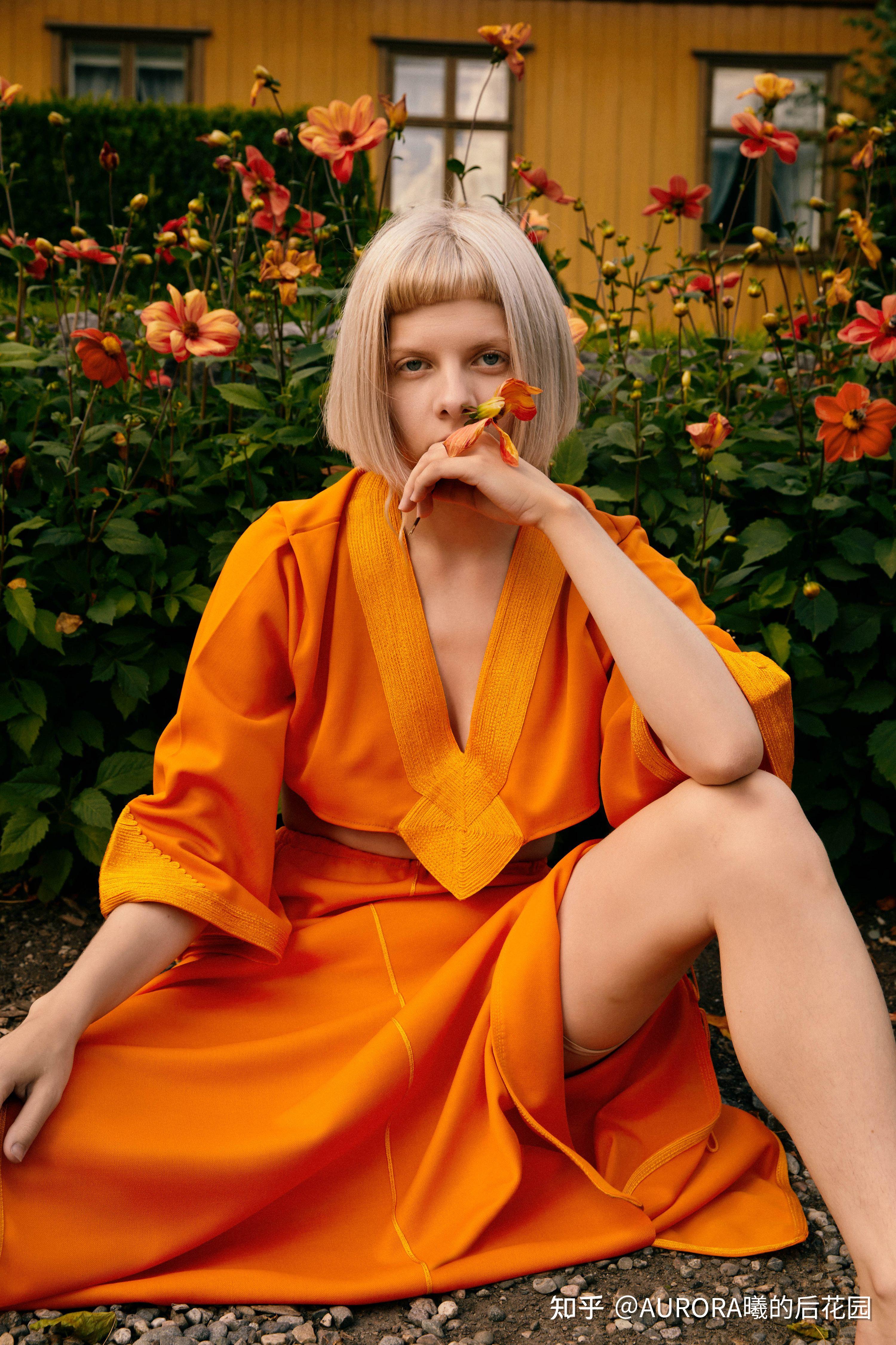 访谈 | 地球是我最喜欢的地方:进入aurora的另类宇宙