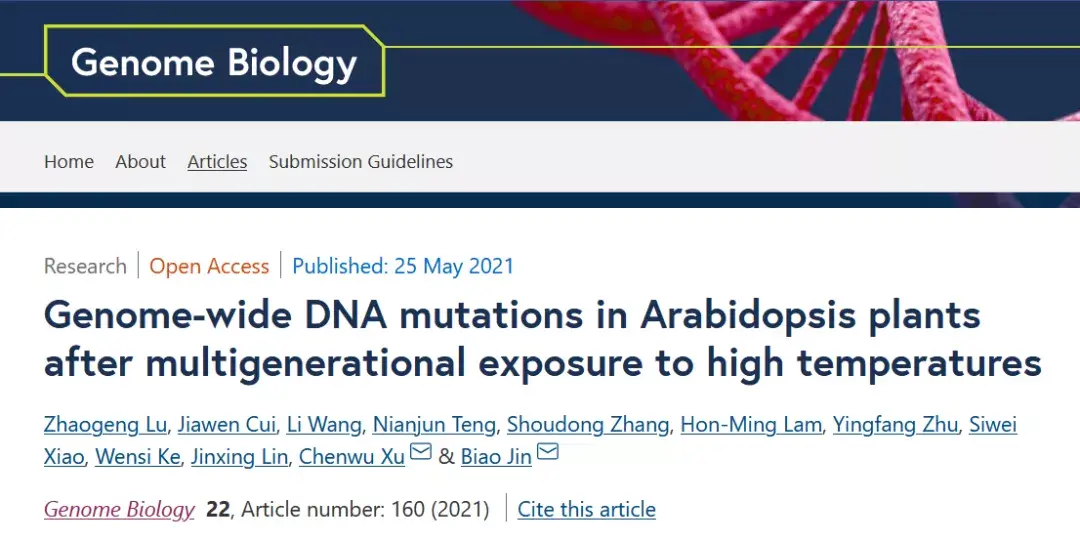 genomebiology扬州大学金飚徐辰武团队揭示长期高温下植物的突变规律