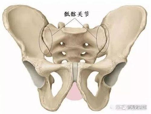 脊柱外科医生什么是人体工学如何选择一把人体工学椅科普向无产品推荐