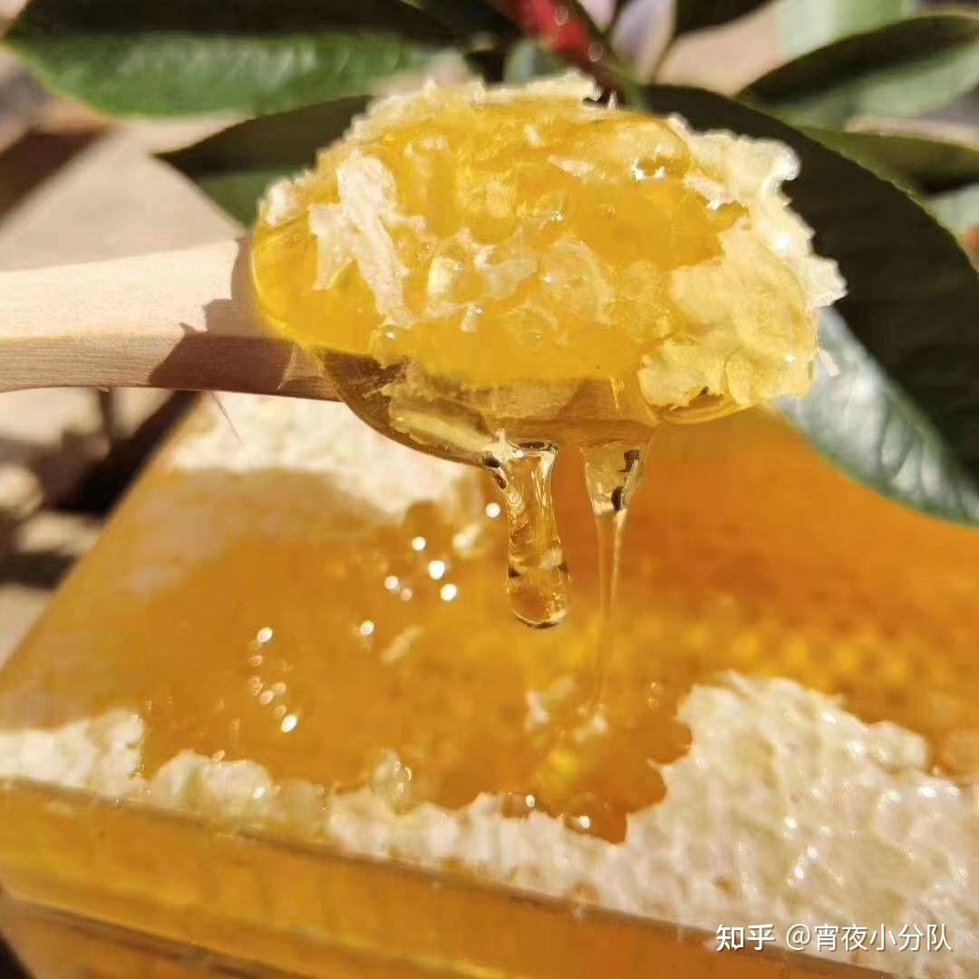 【农人直供】2020年新鲜 龙眼蜜 蜂蜜 纯正天然 封盖蜜