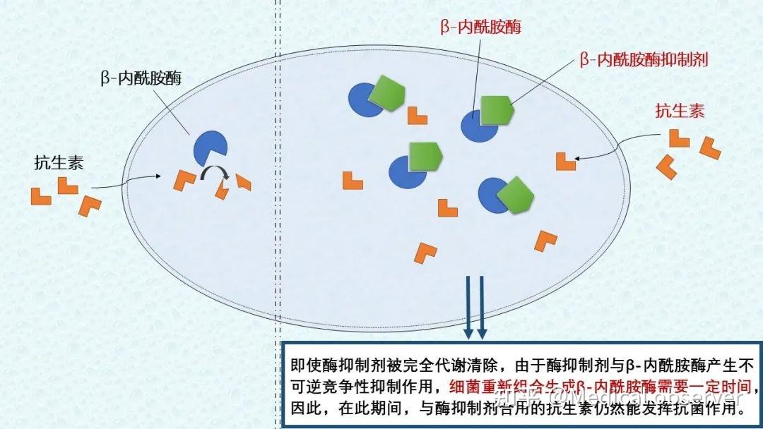 减肥药品牌及商品_减肥药品牌排行榜前十名_减肥药品牌